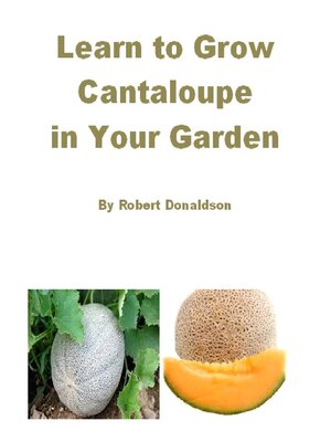 cover image of Learn to Grow Cantaloupe in Your Garden